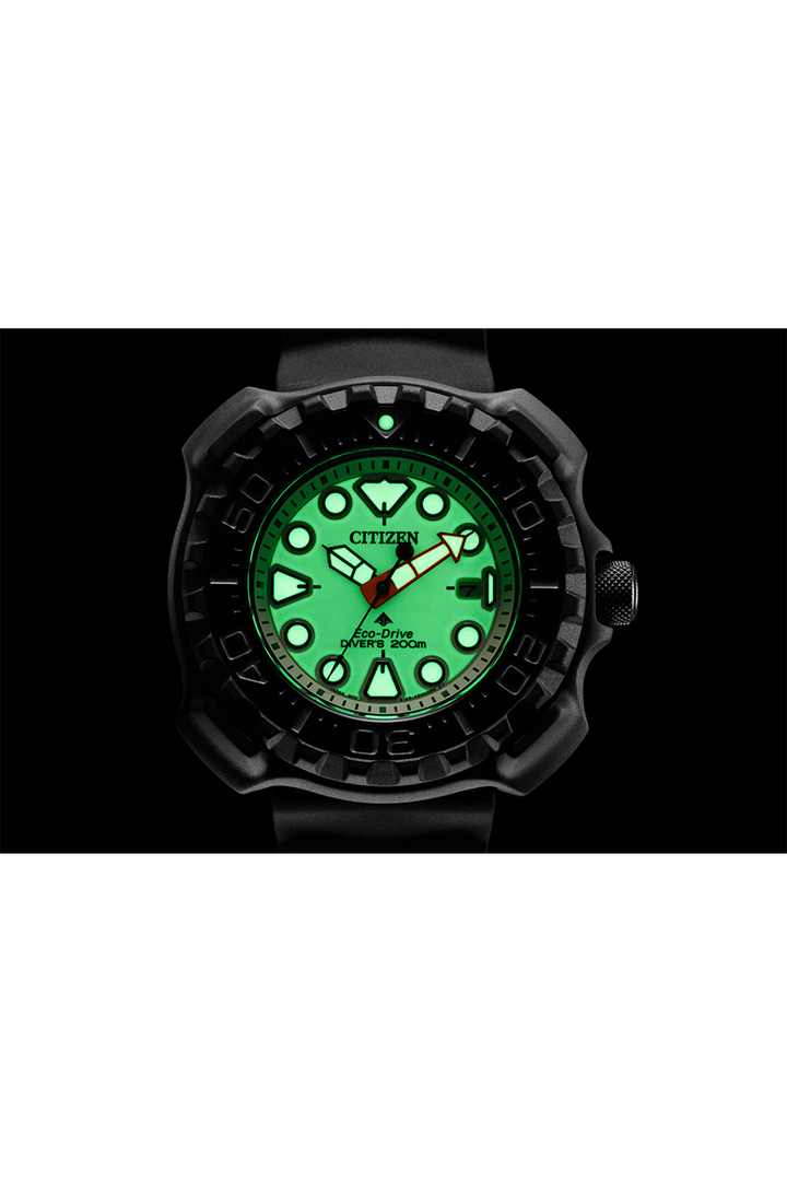 Citizen PROMASTER (BN0227-17X)