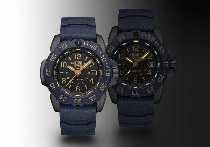 Luminox Navy SEAL (XS.3255.CB.NSF)