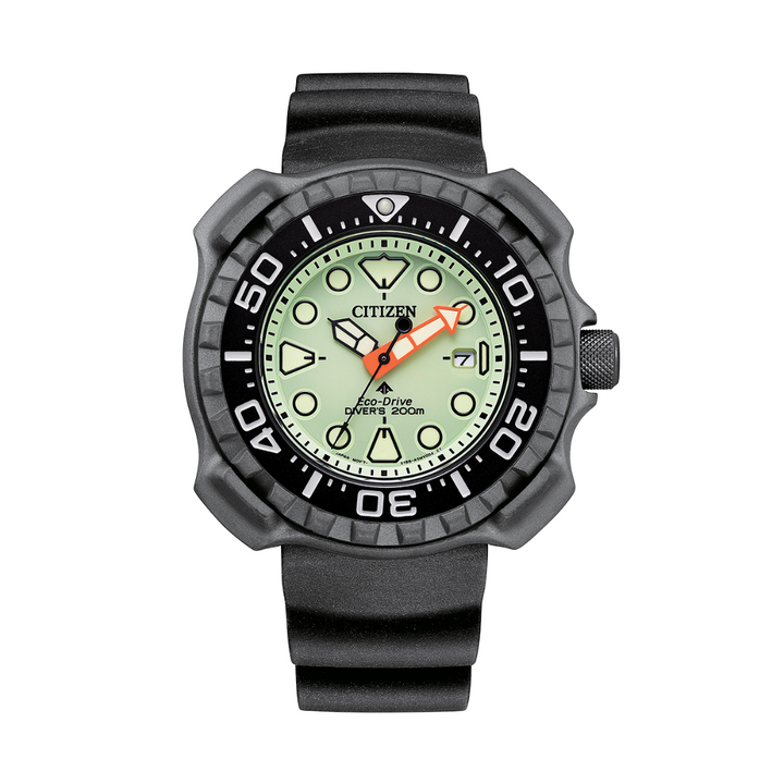 Citizen PROMASTER (BN0227-17X)