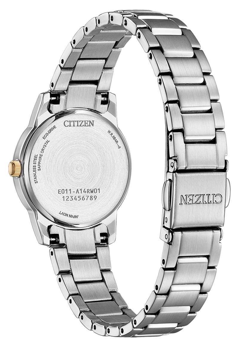 Citizen Eco-Drive (EW2317-76E)