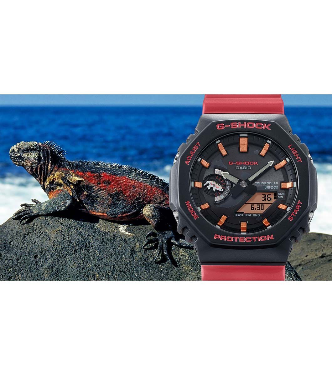 Casio G-Shock X Charles Darwin Foundation (GA-B2100CD-1A4)